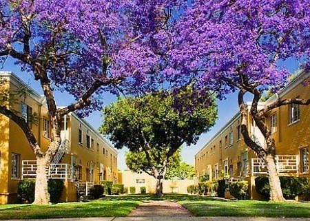 2 Bedroom Condo With A View Near The Grove Los Angeles Bagian luar foto