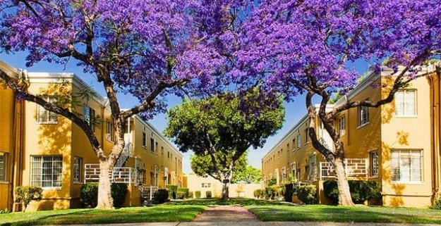 2 Bedroom Condo With A View Near The Grove Los Angeles Bagian luar foto